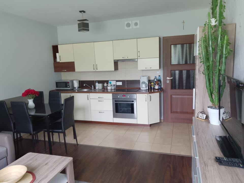 Apartament Brzozowa Apartment in Czechia