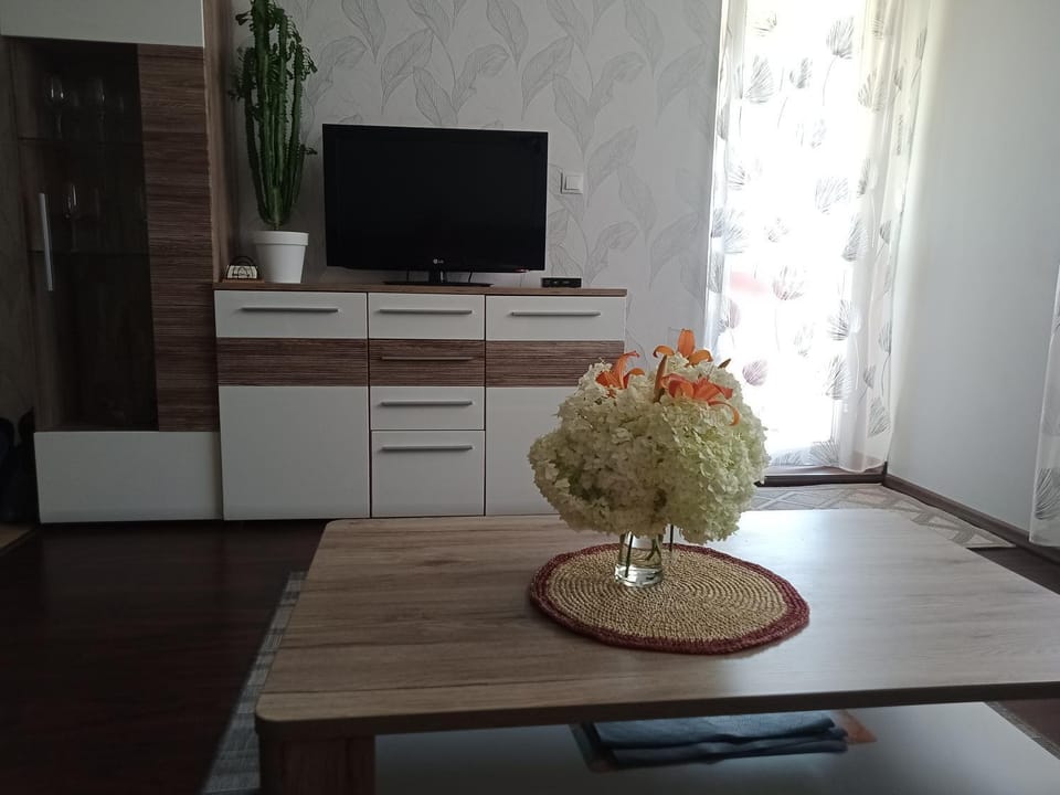 Apartament Brzozowa Apartment in Czechia