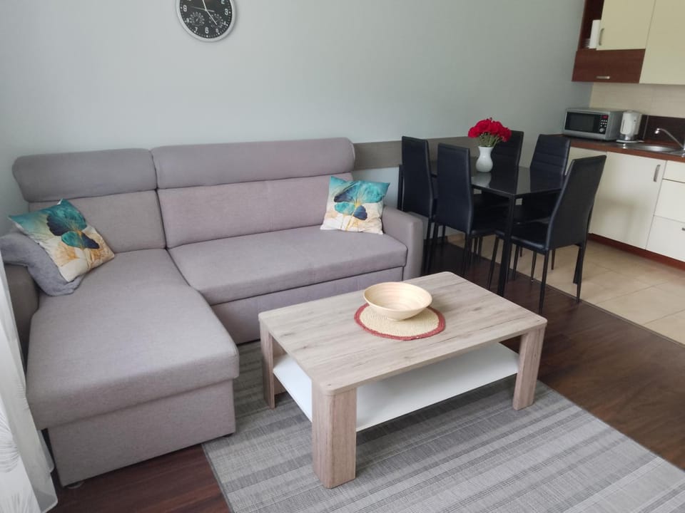 Apartament Brzozowa Apartment in Czechia
