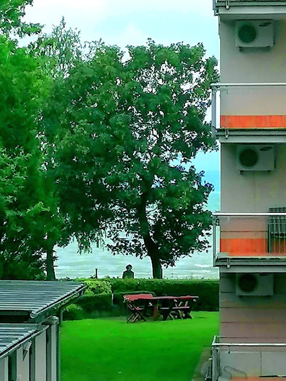 Lake view