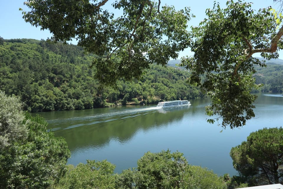 Natural landscape, River view