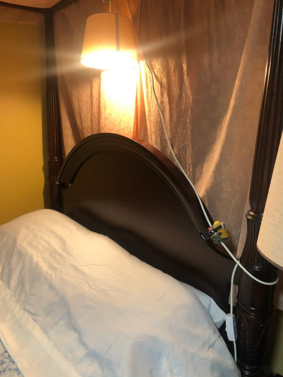 Bed