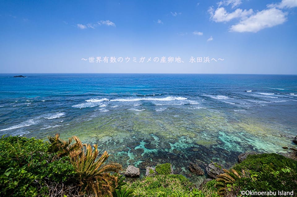 Nearby landmark, Natural landscape