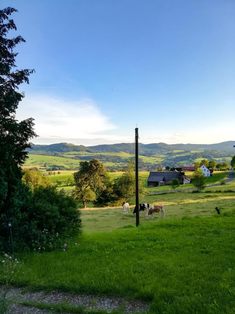 View (from property/room), Mountain view, Mountain view