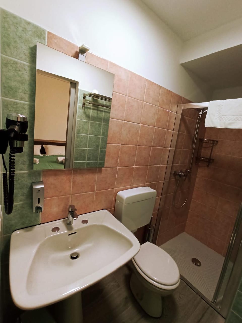 Shower, Toilet, Bathroom, bidet