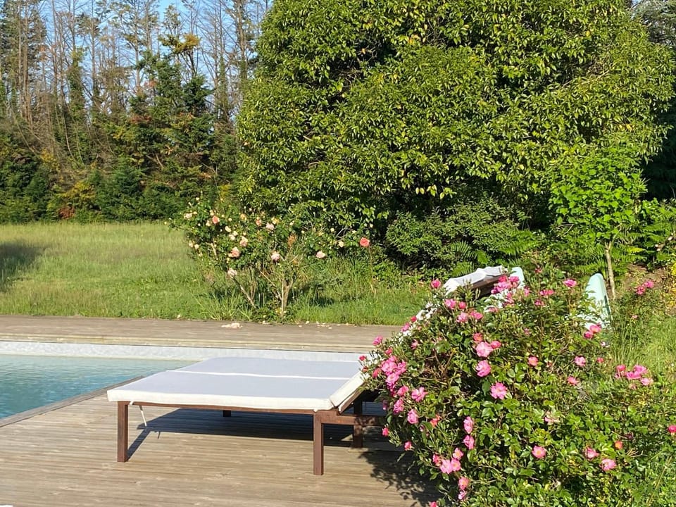 Garden, Garden view, Pool view, Swimming pool