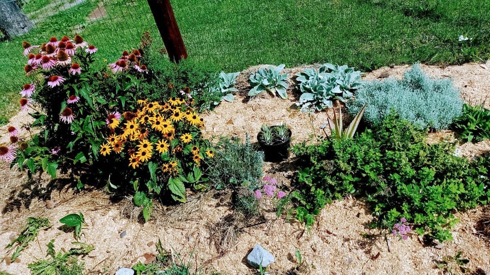 Garden view