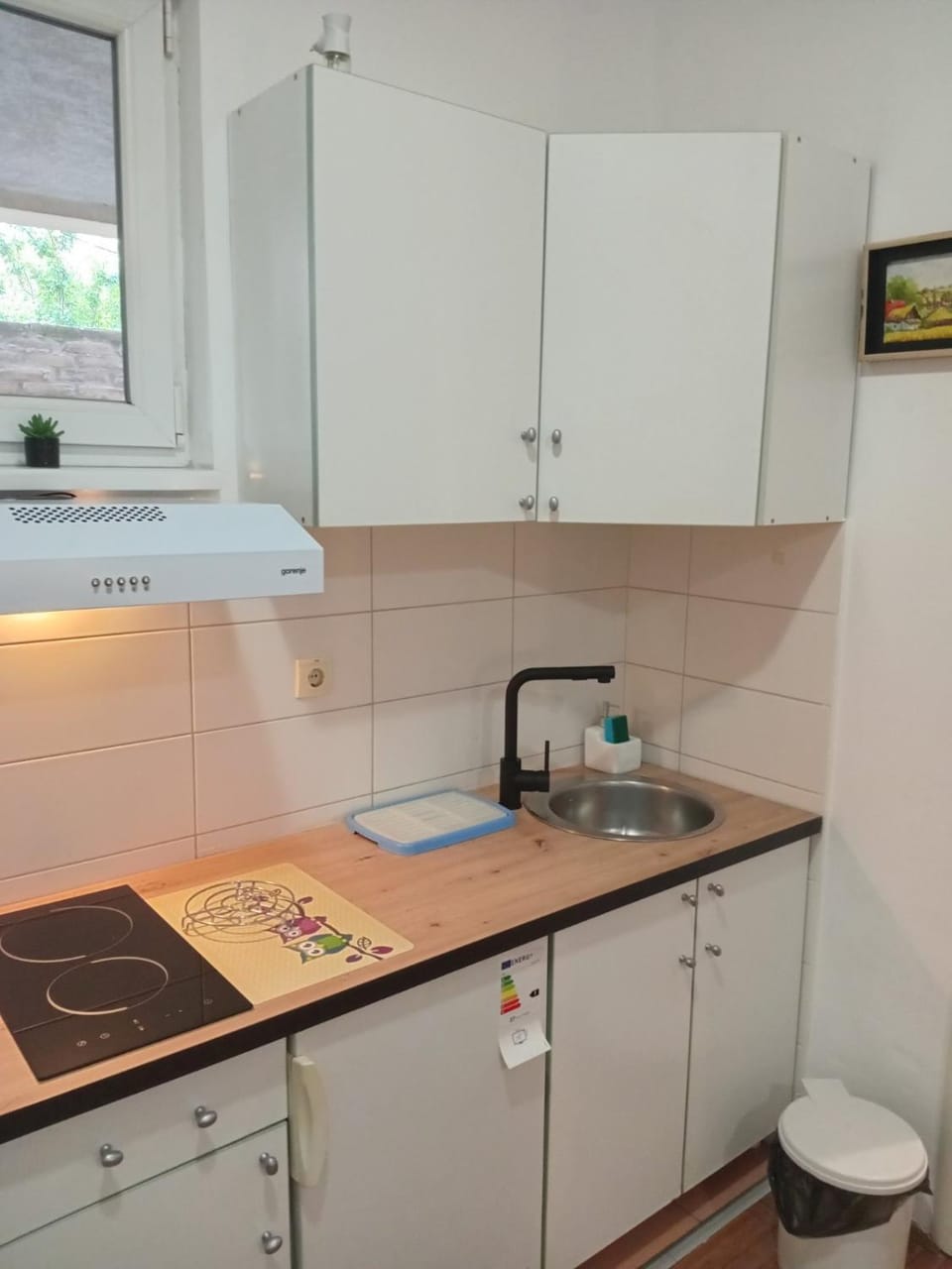 Apartman Apatin studio DUE Apartment in Vojvodina