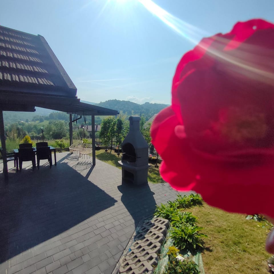 Patio, Spring, Day, Natural landscape, BBQ facilities, Garden, View (from property/room), Balcony/Terrace, Garden view, Mountain view, children, young children, older children