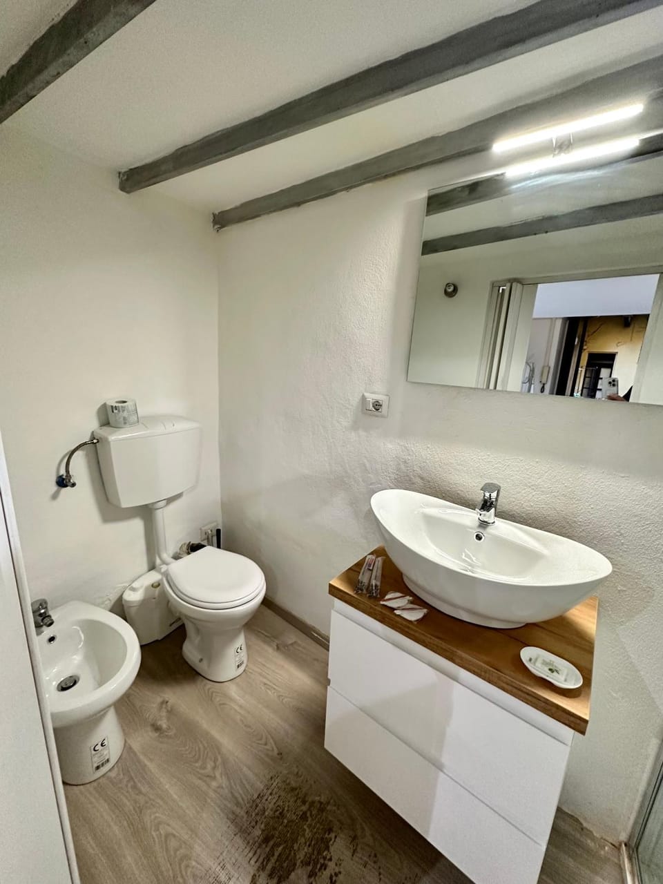 Shower, Toilet, Bathroom, bidet