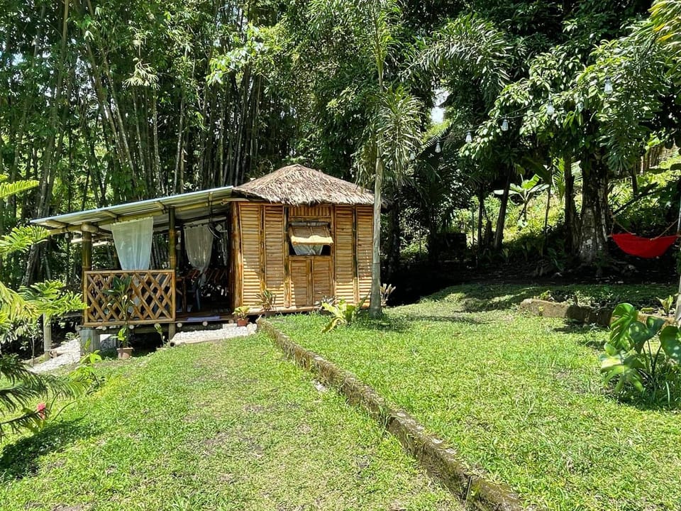 Natural landscape, Garden