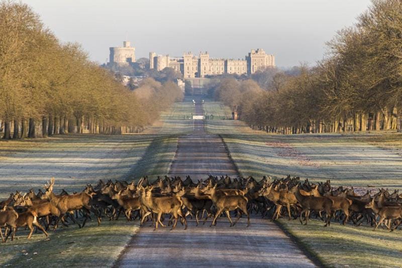 Perfect Location, 1 Bedroom APT, Castle, Legoland Apartment in Windsor