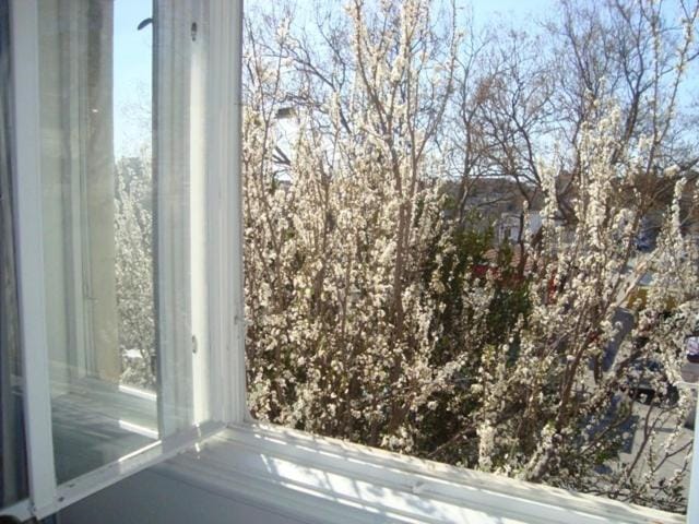 Riki Accommodation Hostel in Split