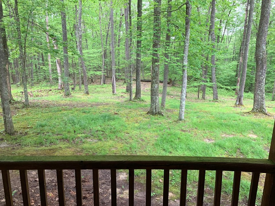 Natural landscape, View (from property/room), Balcony/Terrace