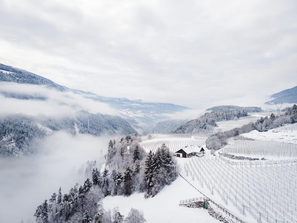 Natural landscape, Winter