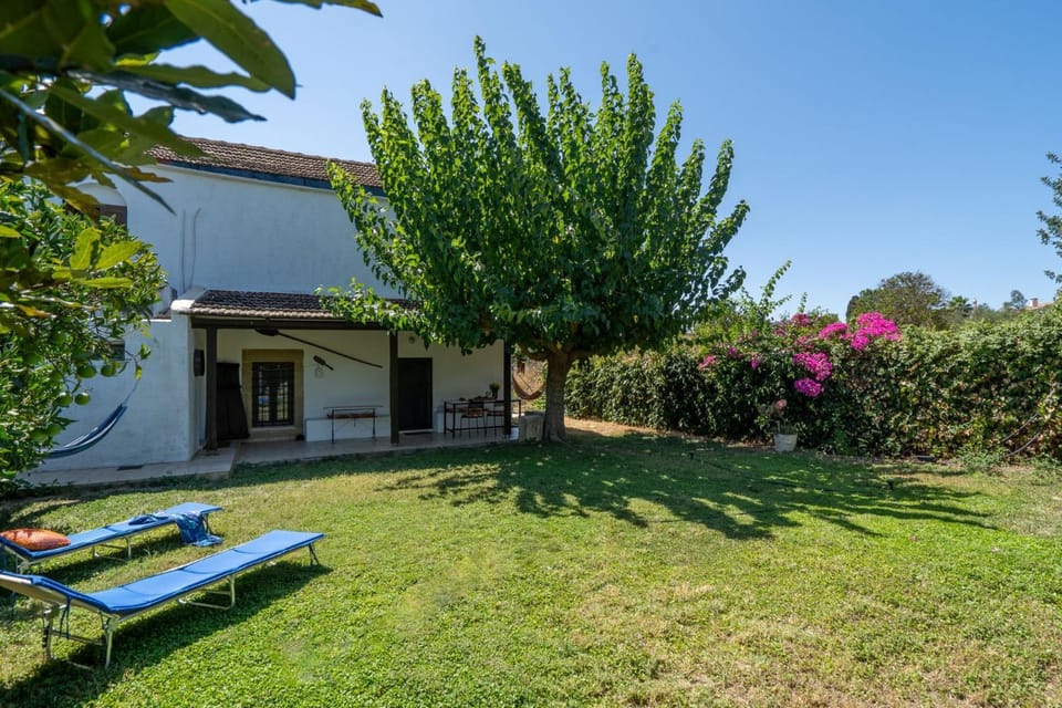 Property building, Garden, Garden view