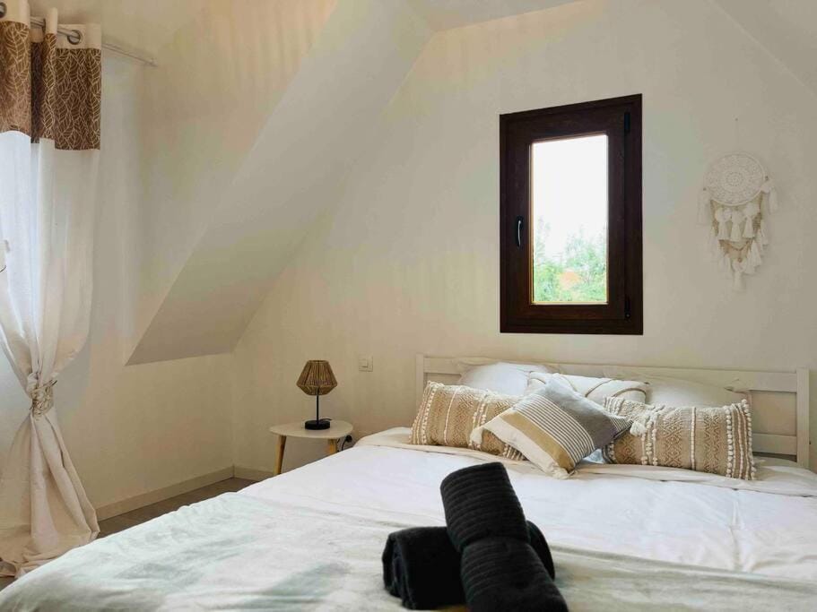 S'Hiesele petite maison alsacienne typique House in Grand Est