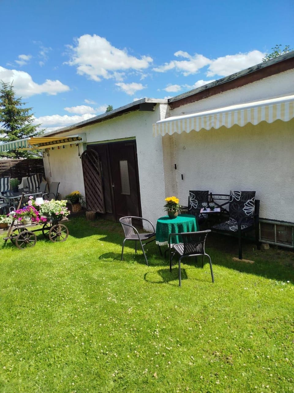 Patio, Garden