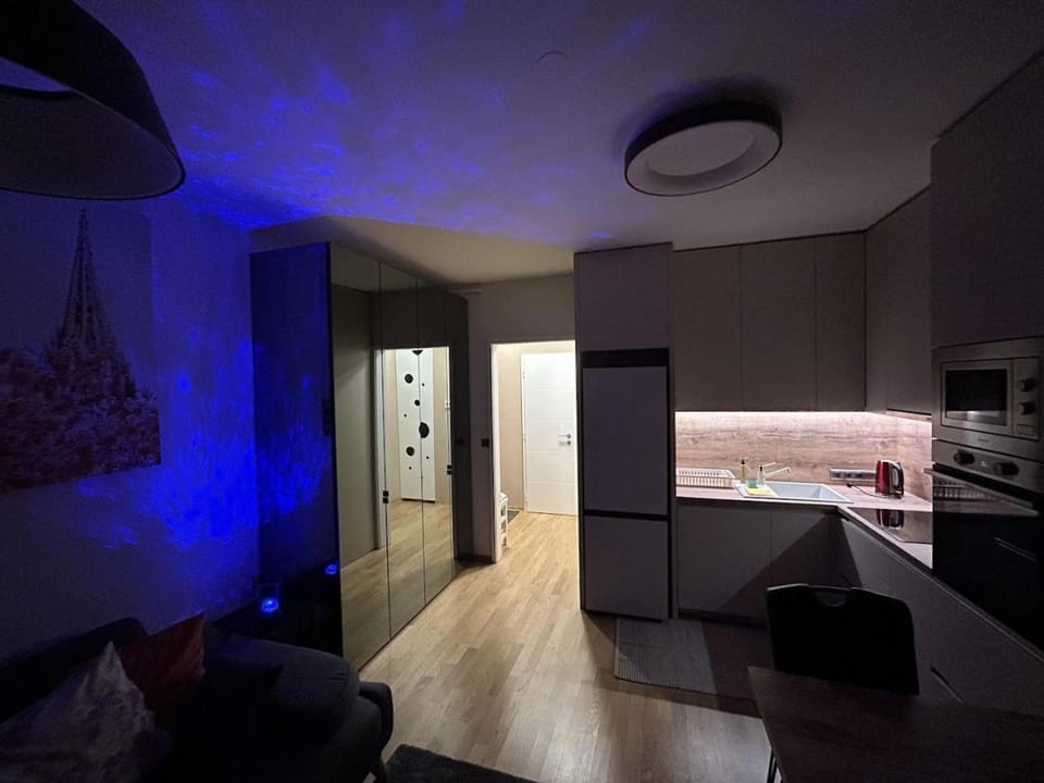 Kitchen or kitchenette, minibar, pet friendly, stove, wardrobe