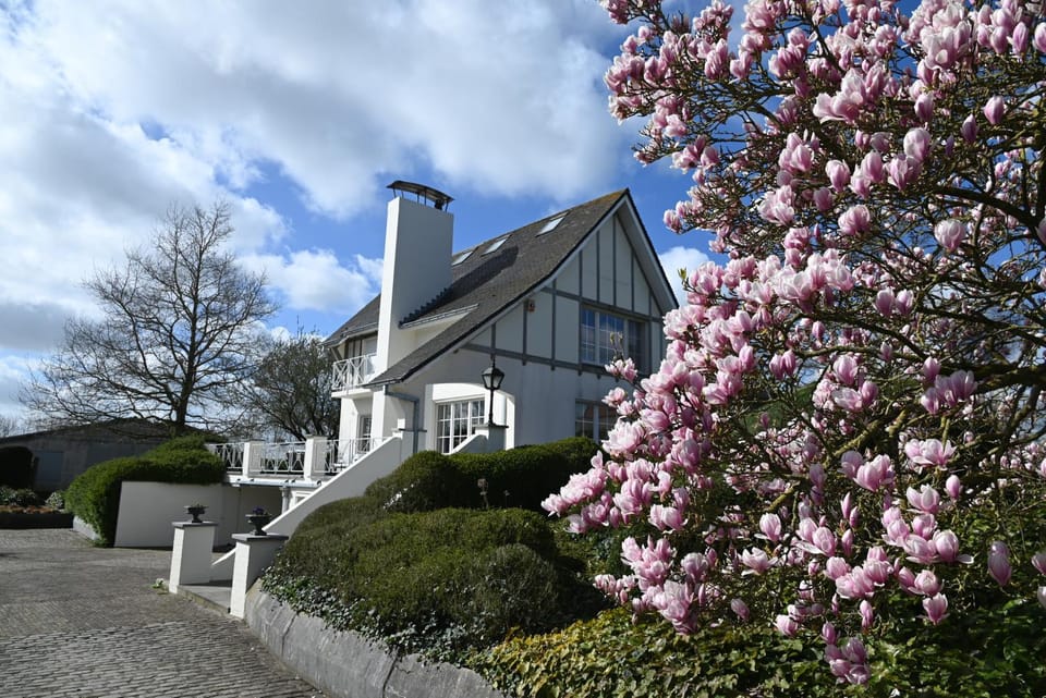 Property building, Garden