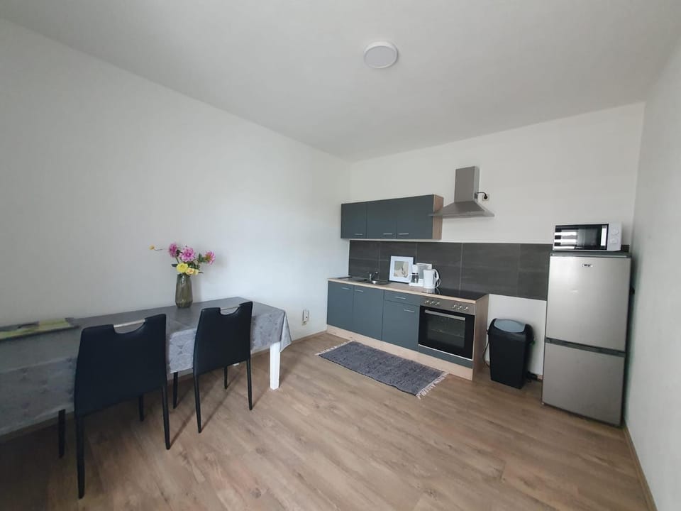 Pension,Ferien, Monteurwohnung , Unterkunft,Zimmer Apartment in Saxony-Anhalt, Germany