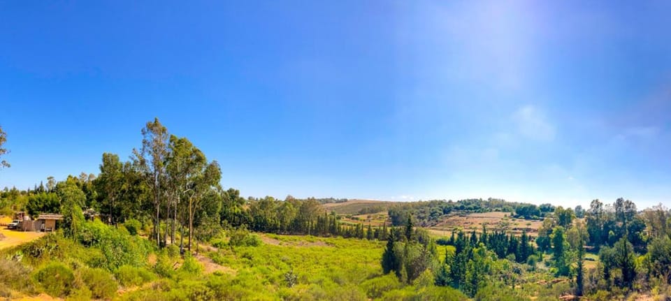 Garden, Landmark view