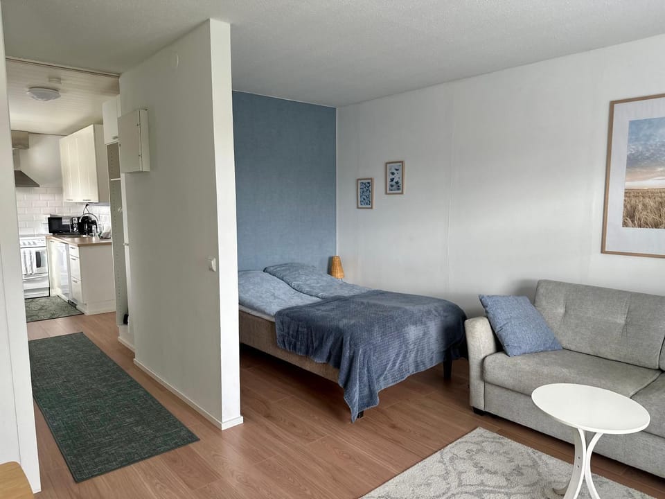 Bed, Living room, Photo of the whole room, Seating area