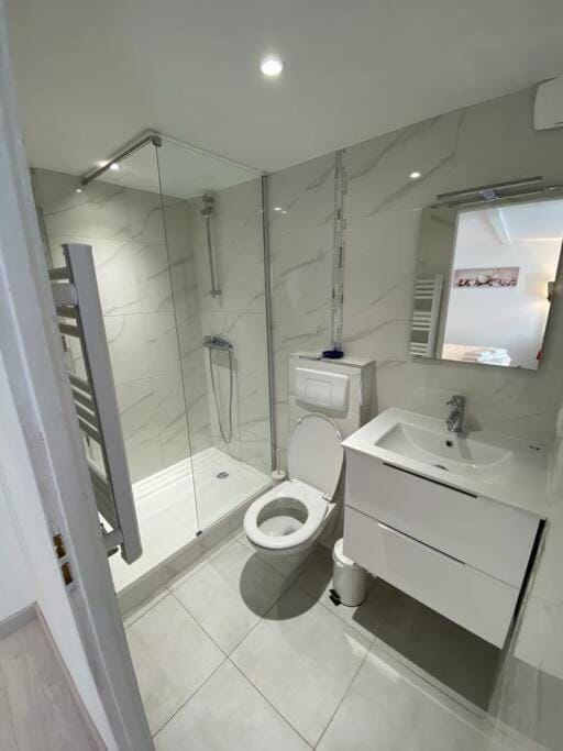 Esprit Romantique Apartment in Mulhouse