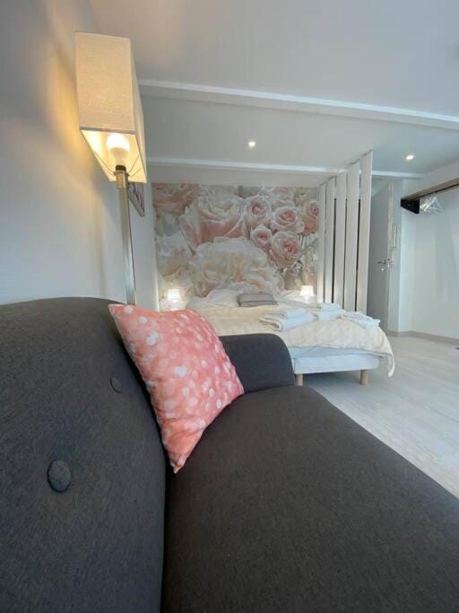 Esprit Romantique Apartment in Mulhouse