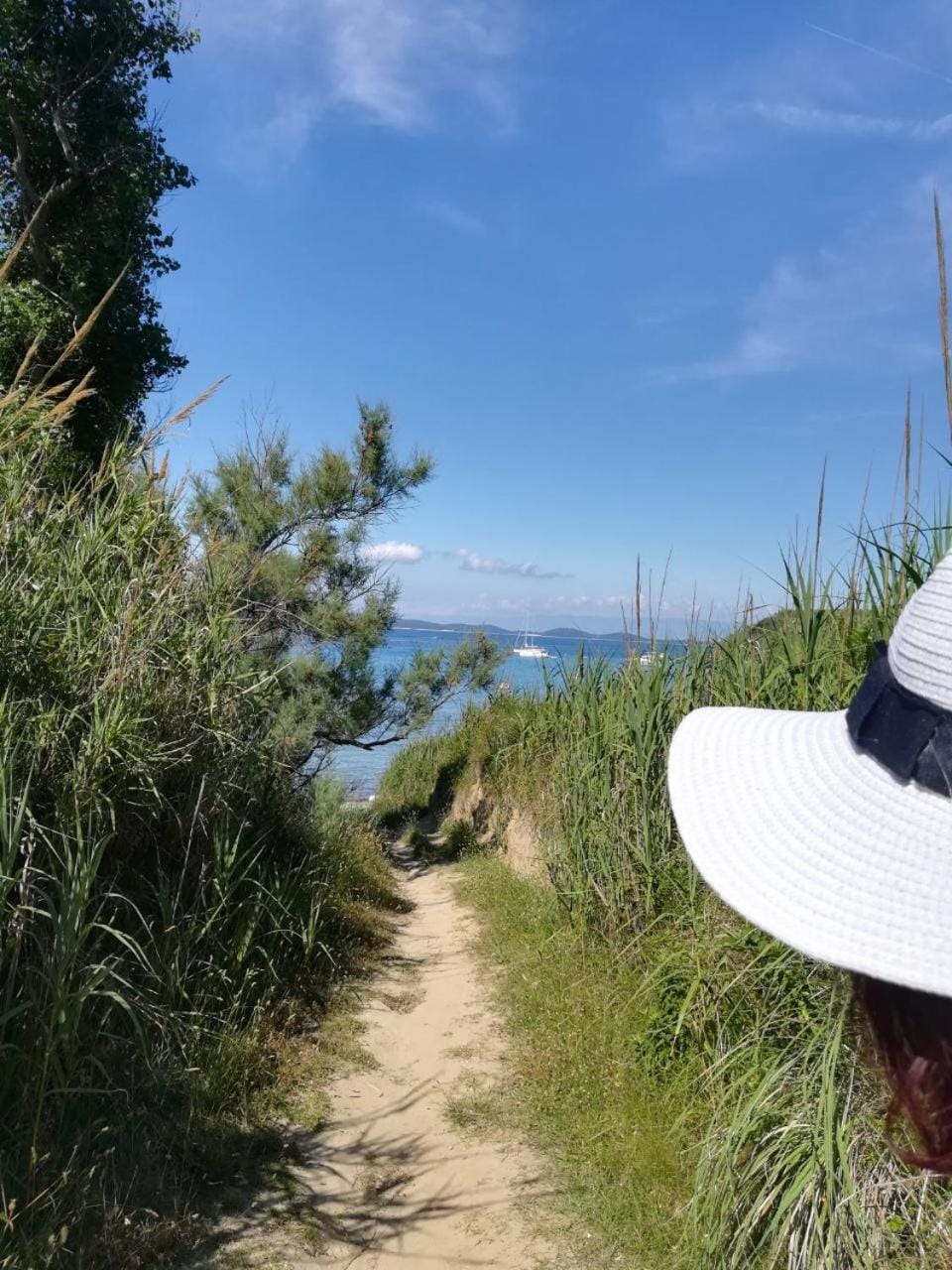 Hiking