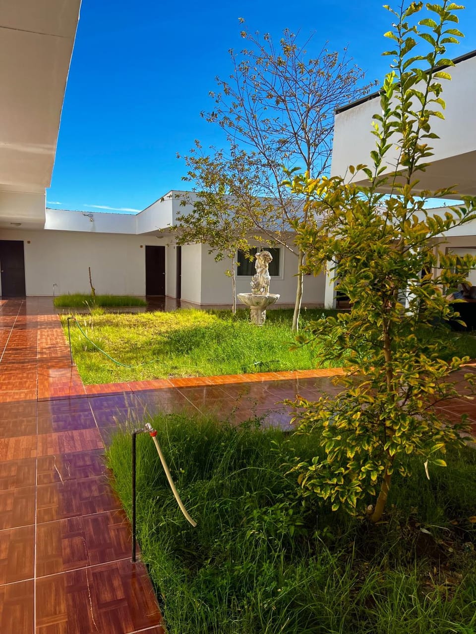 Garden, Inner courtyard view