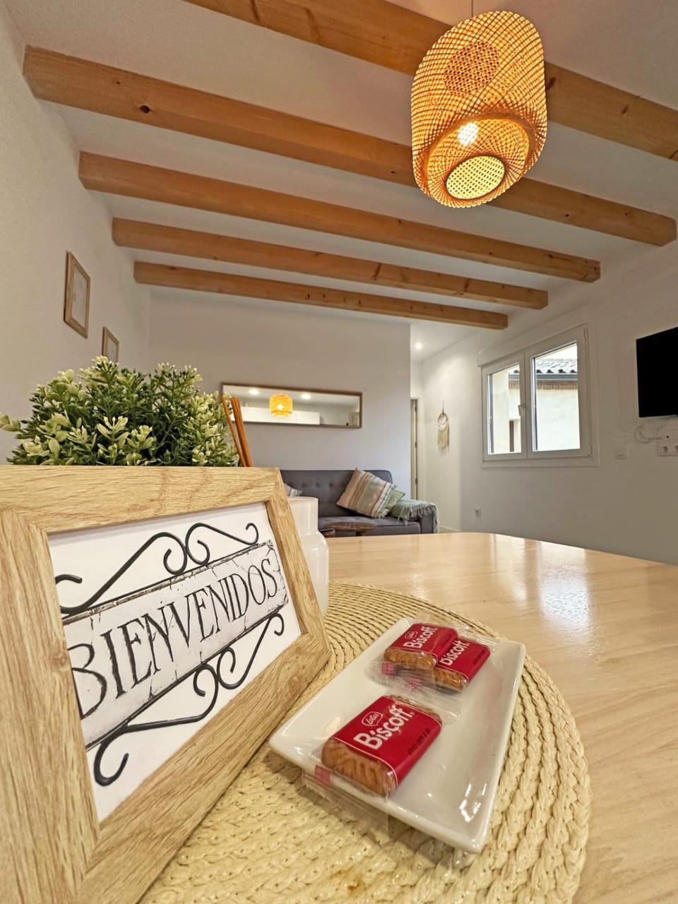 Rayo de Luz Apartment in Toledo