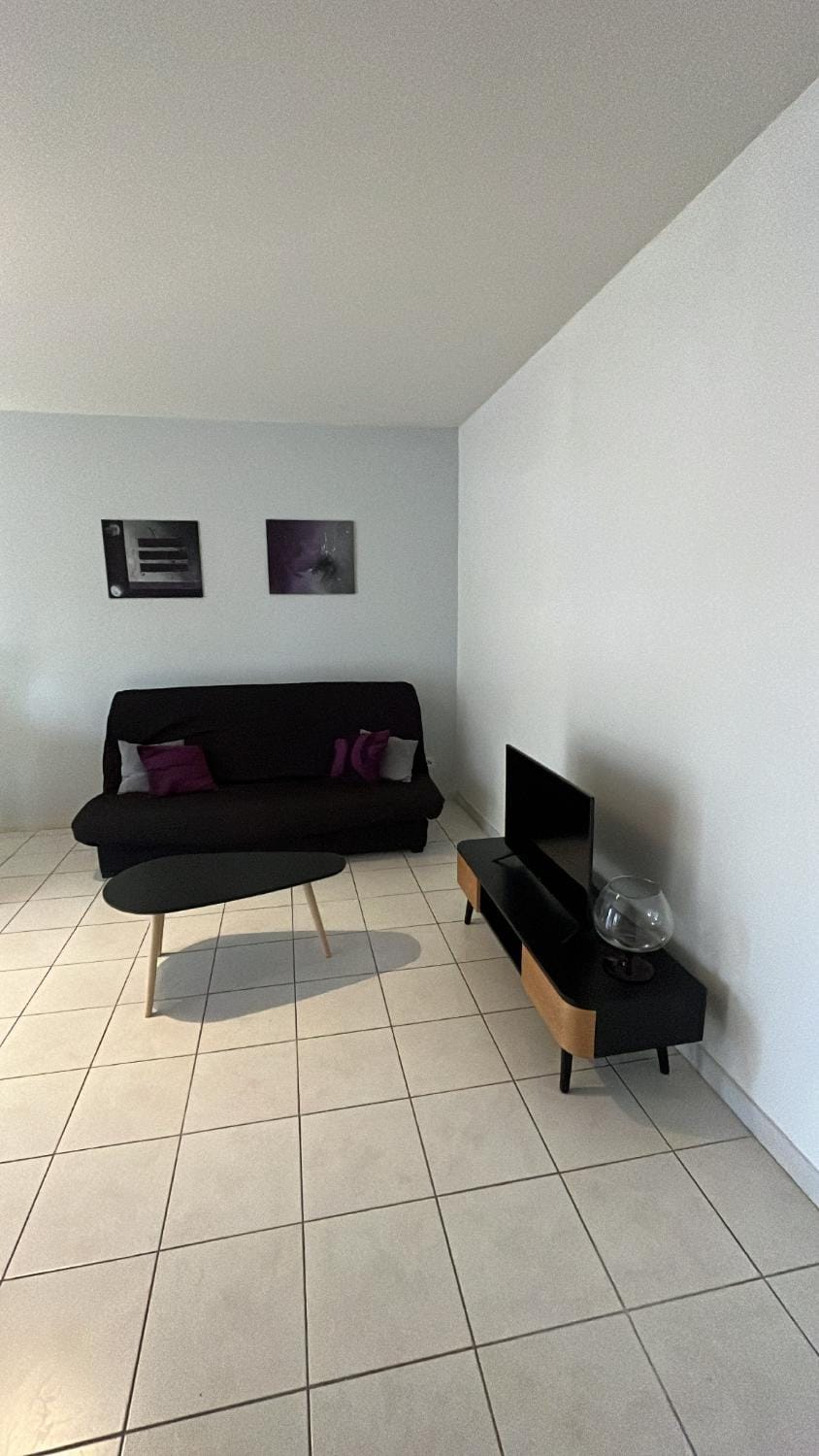 Superbe T2 à Balaruc les Bains Apartment in Balaruc-les-Bains