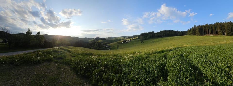 Mountain view