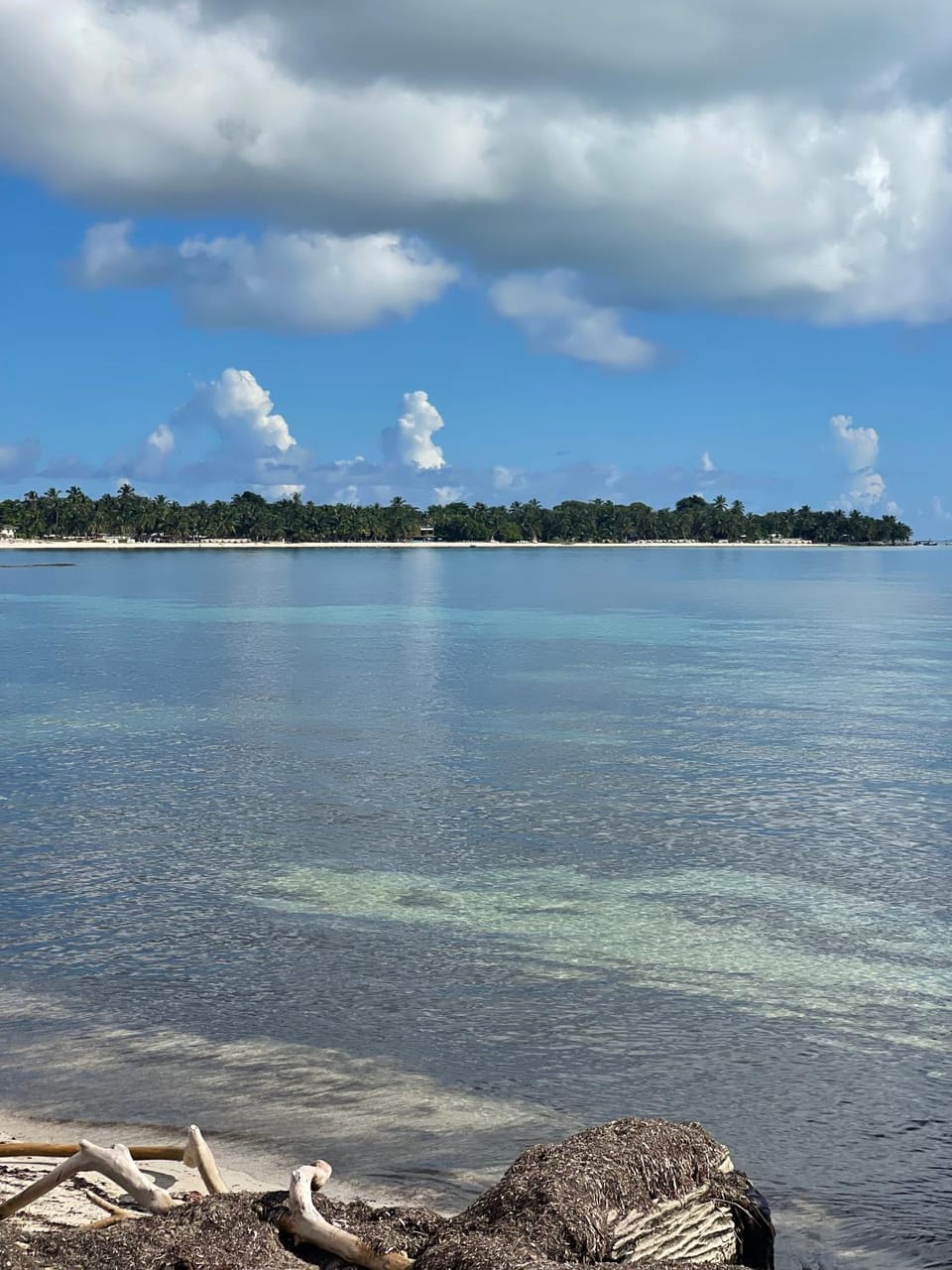 Natural landscape