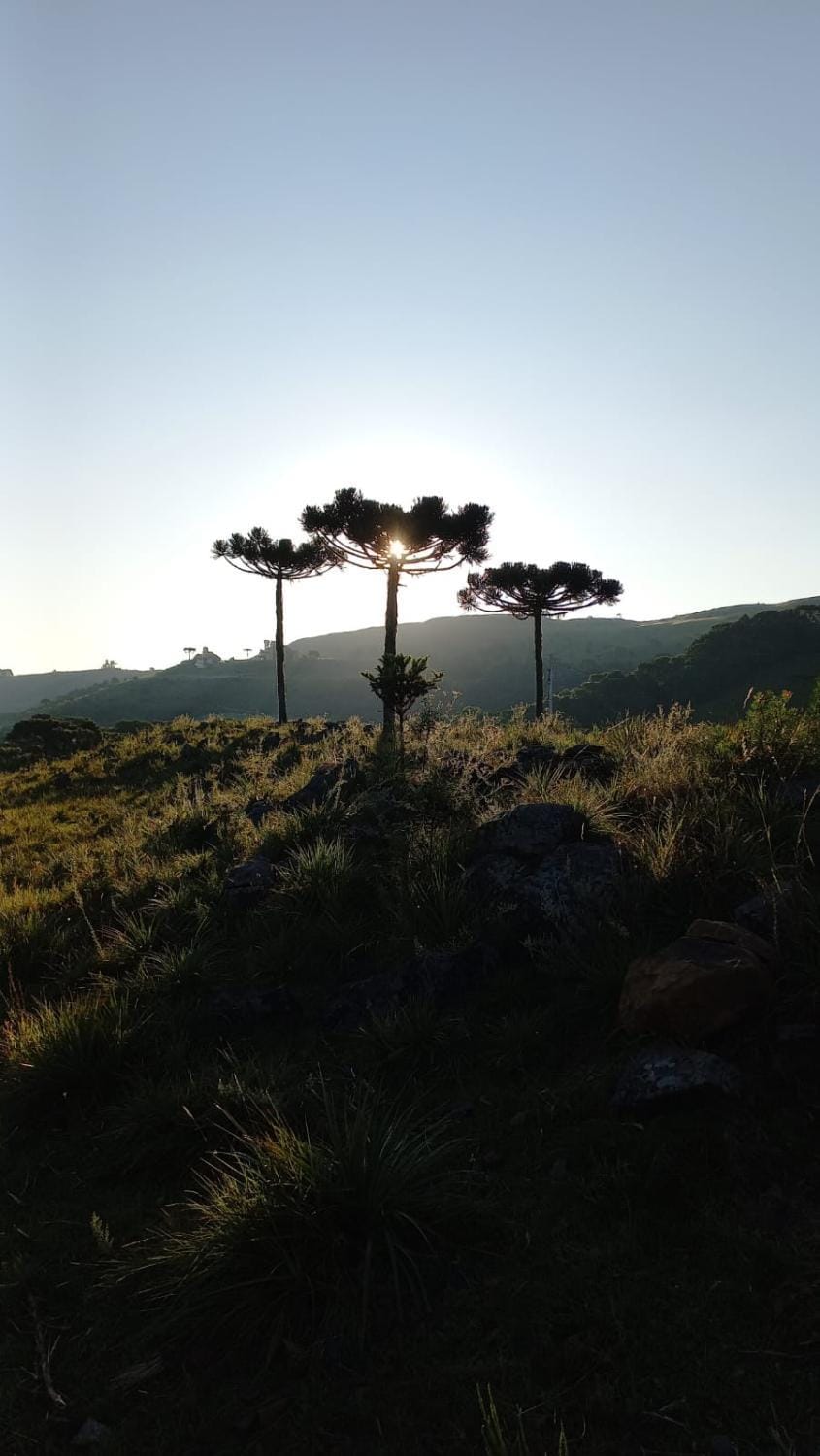 Pousada Recanto da Cascata Nature lodge in State of Santa Catarina