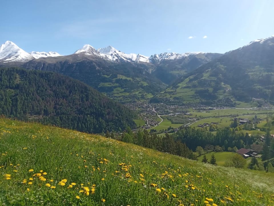 View (from property/room)