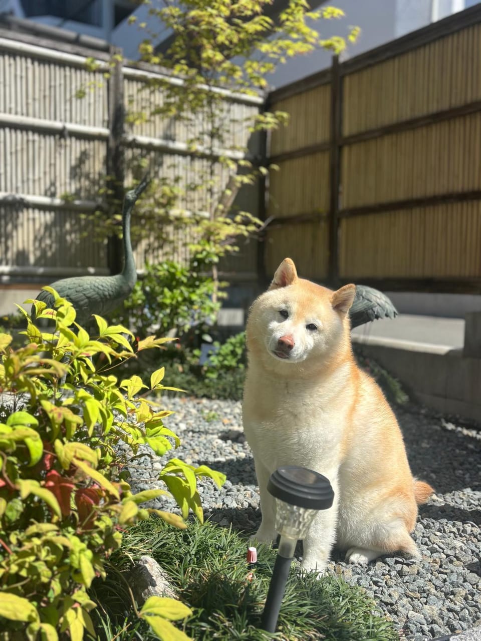 Day