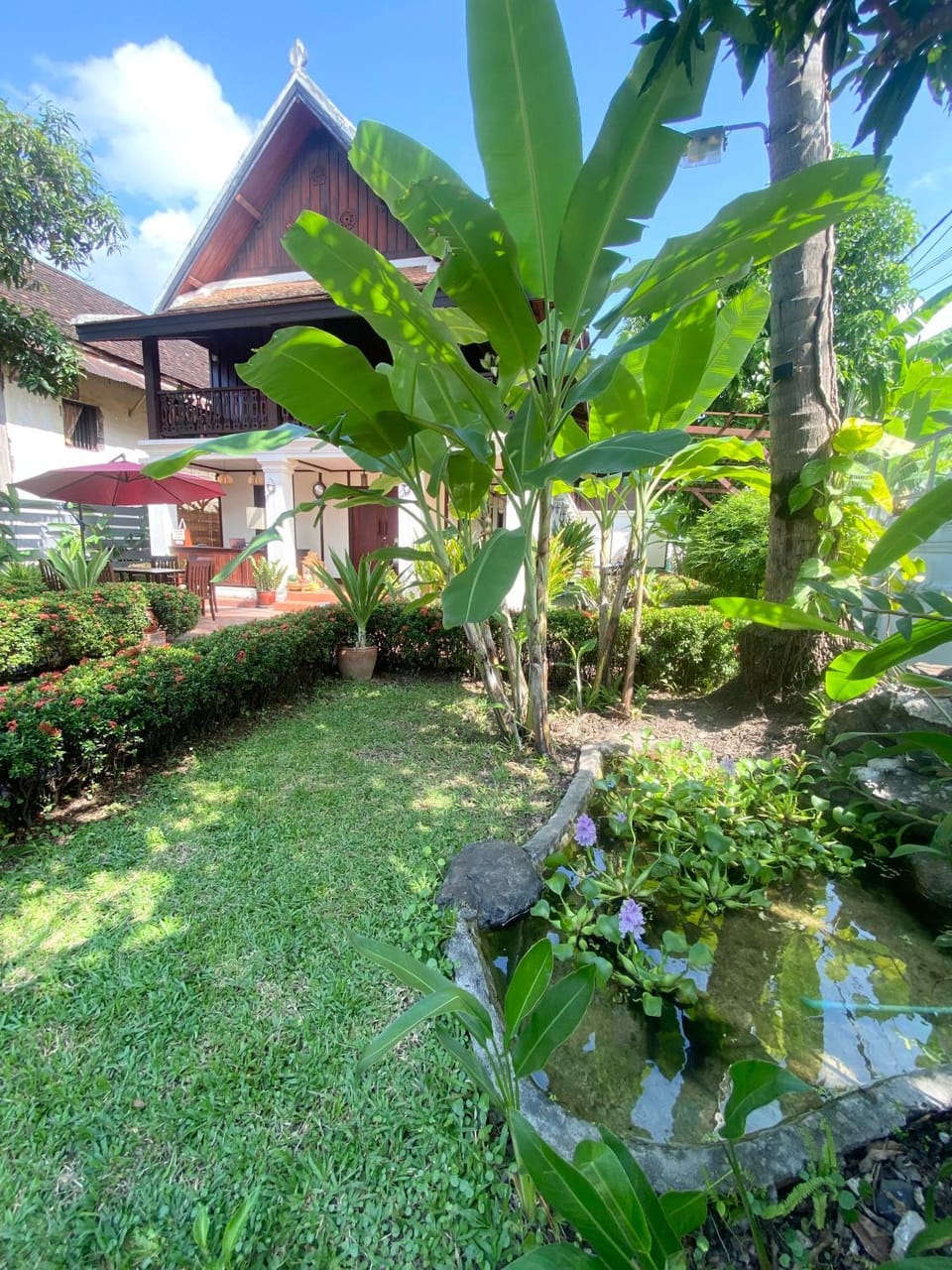 Property building, Garden view