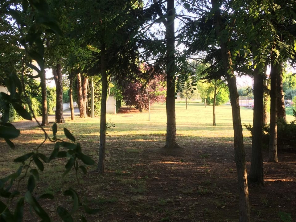 Spring, Natural landscape, Garden, Garden view