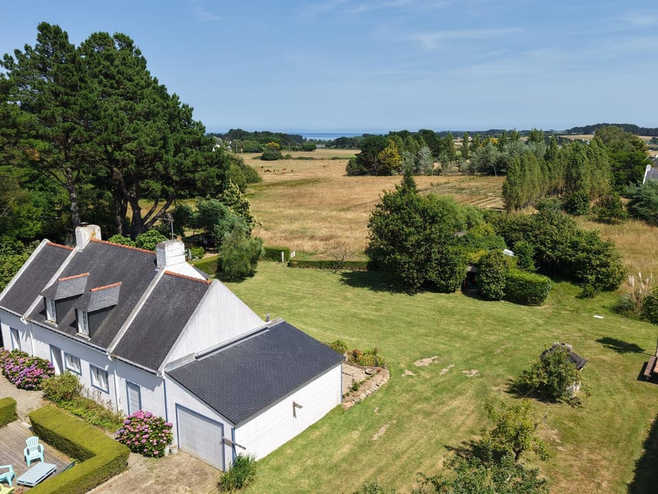 Bird's eye view, Garden view