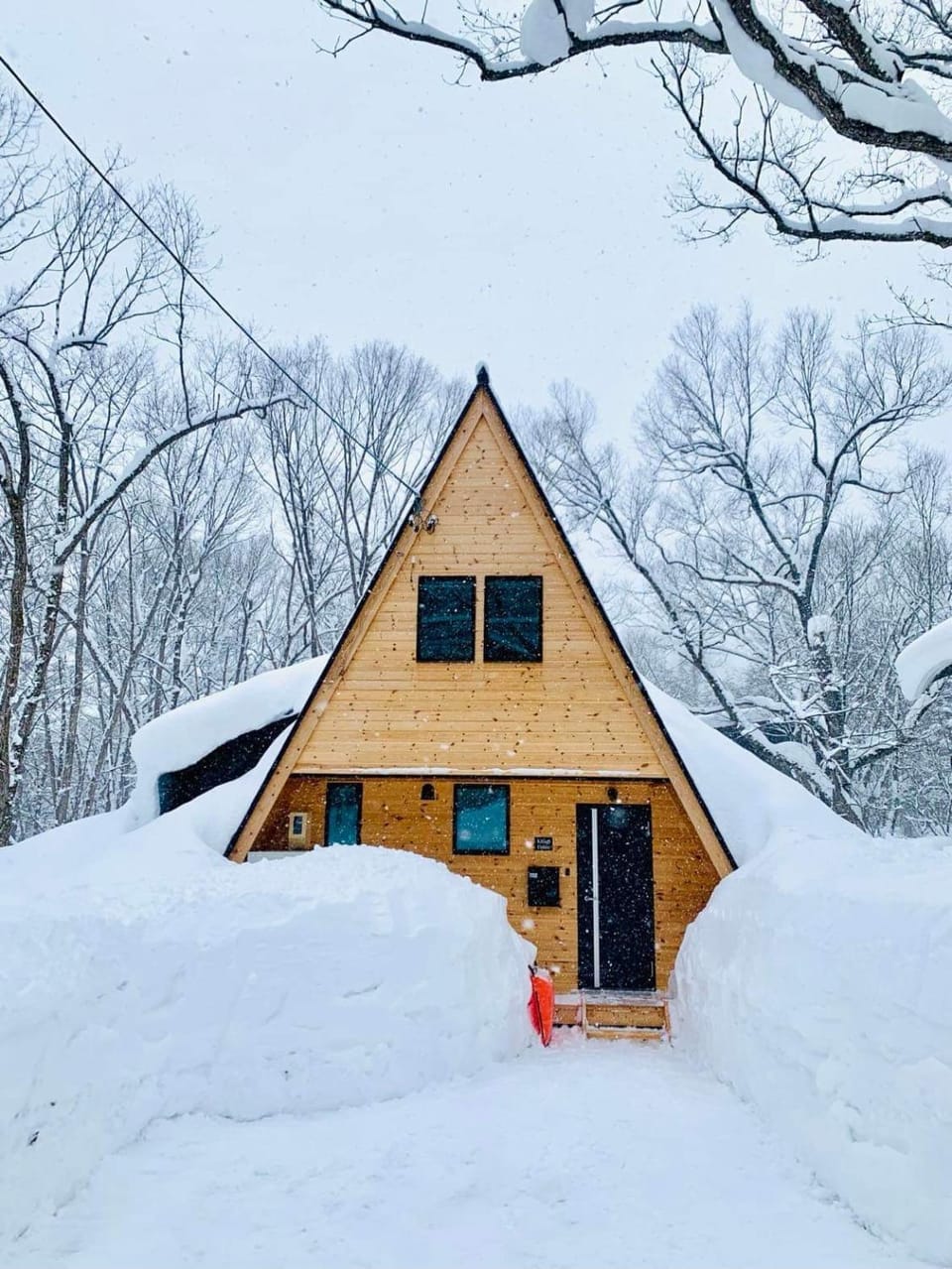 Property building, Natural landscape, Winter