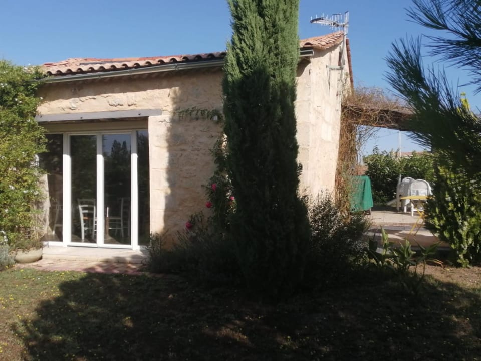 Patio, Garden