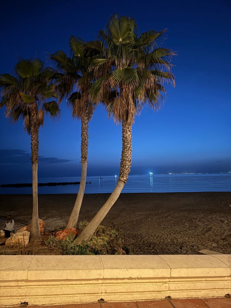 Ocean Views Apartment in Almería