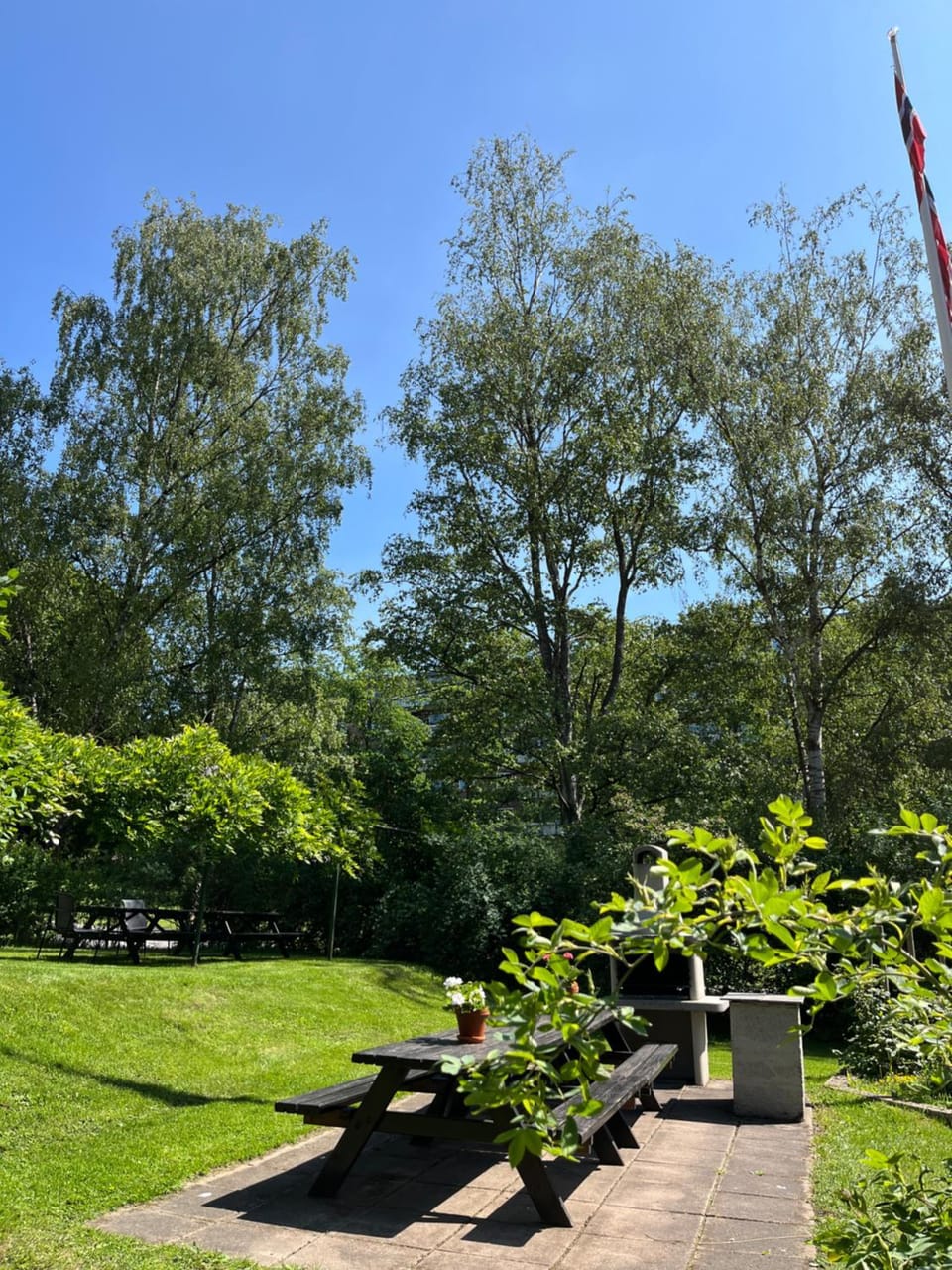 Garden view