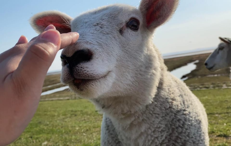 Haus Deichbrise House in Nordfriesland