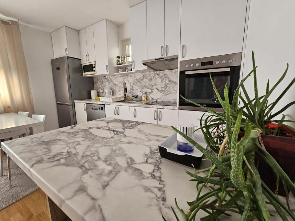 Kitchen or kitchenette, dishwasher, oven, stove