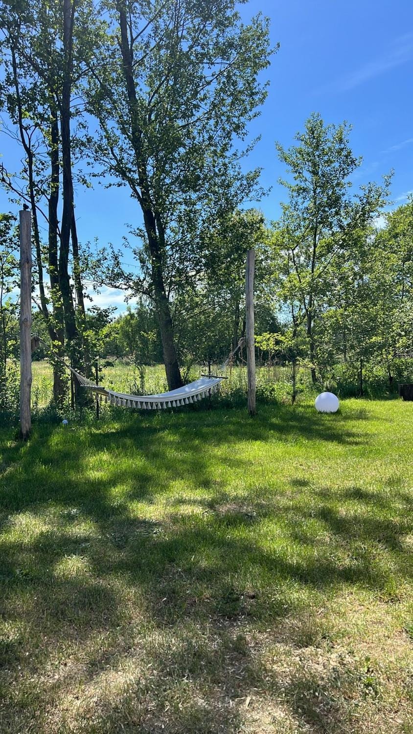 Day, Natural landscape, Garden, Garden view
