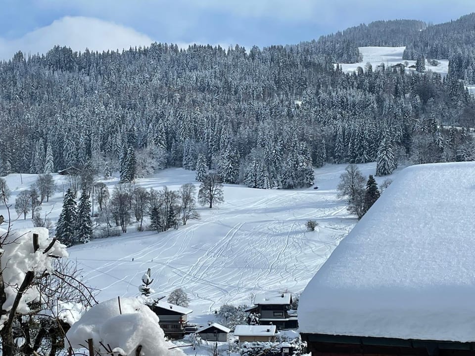 Megève - Chalet Miage Chalet in Combloux