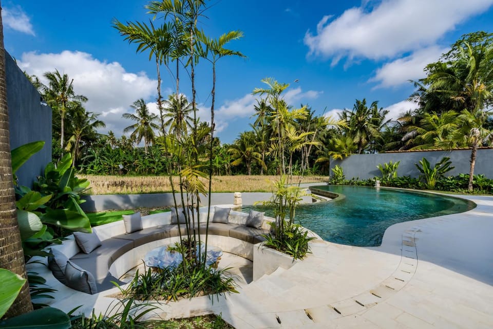 Natural landscape, Garden, Seating area, Garden view, Pool view, Swimming pool, sunbed
